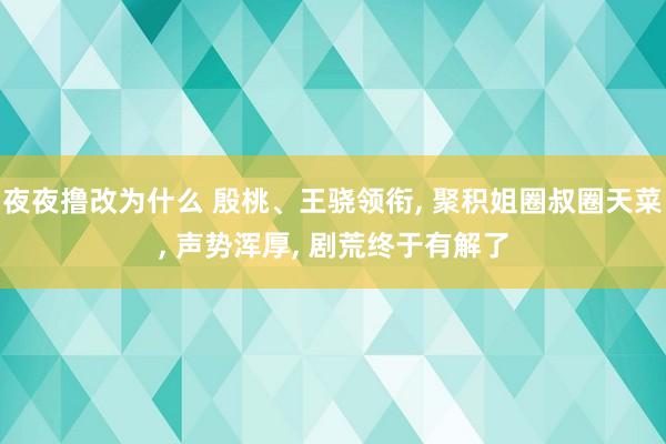 夜夜撸改为什么 殷桃、王骁领衔， 聚积姐圈叔圈天菜， 声势浑厚， 剧荒终于有解了