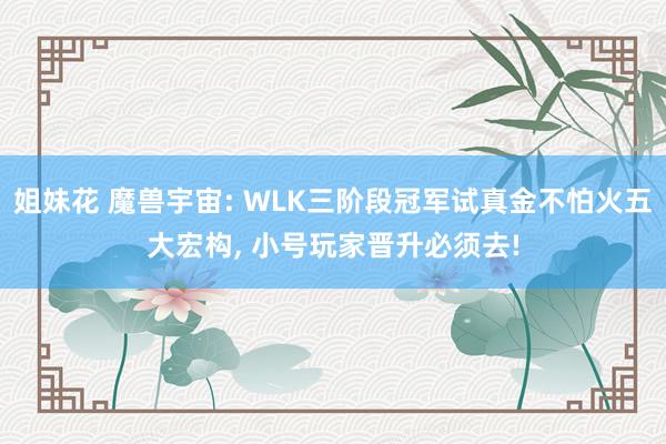 姐妹花 魔兽宇宙: WLK三阶段冠军试真金不怕火五大宏构， 小号玩家晋升必须去!