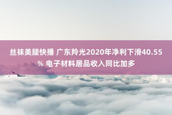 丝袜美腿快播 广东羚光2020年净利下滑40.55% 电子材料居品收入同比加多