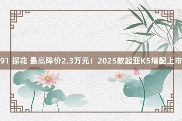 91 探花 最高降价2.3万元！2025款起亚K5增配上市