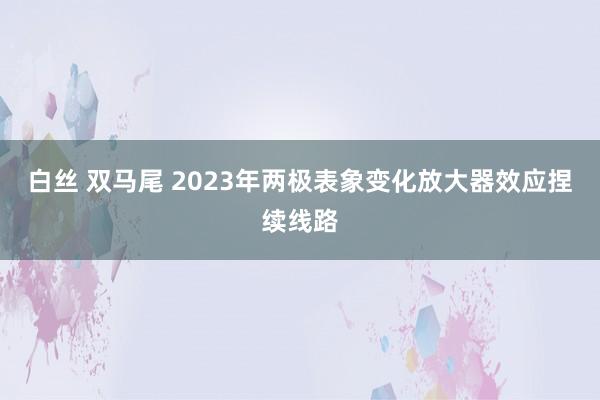 白丝 双马尾 2023年两极表象变化放大器效应捏续线路