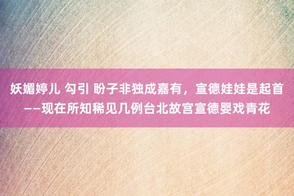 妖媚婷儿 勾引 盼子非独成嘉有，宣德娃娃是起首——现在所知稀见几例台北故宫宣德婴戏青花