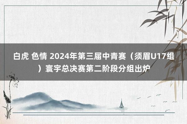 白虎 色情 2024年第三届中青赛（须眉U17组）寰宇总决赛第二阶段分组出炉