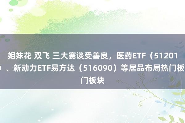 姐妹花 双飞 三大赛谈受善良，医药ETF（512010）、新动力ETF易方达（516090）等居品布局热门板块