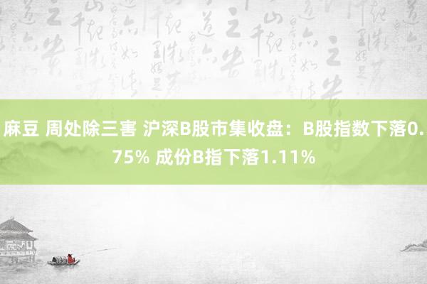 麻豆 周处除三害 沪深B股市集收盘：B股指数下落0.75% 成份B指下落1.11%