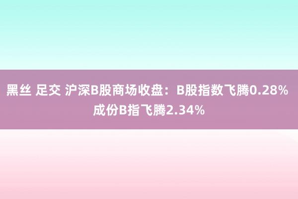 黑丝 足交 沪深B股商场收盘：B股指数飞腾0.28% 成份B指飞腾2.34%