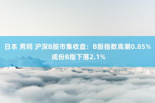 日本 男同 沪深B股市集收盘：B股指数高潮0.85% 成份B指下落2.1%