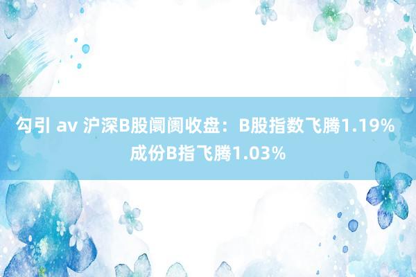 勾引 av 沪深B股阛阓收盘：B股指数飞腾1.19% 成份B指飞腾1.03%