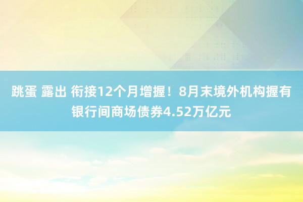 跳蛋 露出 衔接12个月增握！8月末境外机构握有银行间商场债券4.52万亿元