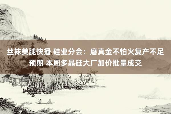 丝袜美腿快播 硅业分会：磨真金不怕火复产不足预期 本周多晶硅大厂加价批量成交