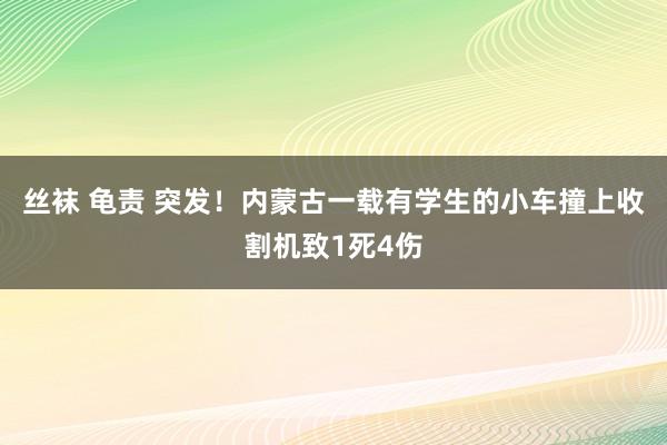 丝袜 龟责 突发！内蒙古一载有学生的小车撞上收割机致1死4伤