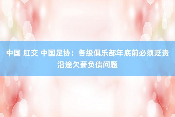 中国 肛交 中国足协：各级俱乐部年底前必须贬责沿途欠薪负债问题