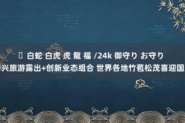 ✨白蛇 白虎 虎 龍 福 /24k 御守り お守り 新兴旅游露出+创新业态组合 世界各地竹苞松茂喜迎国庆