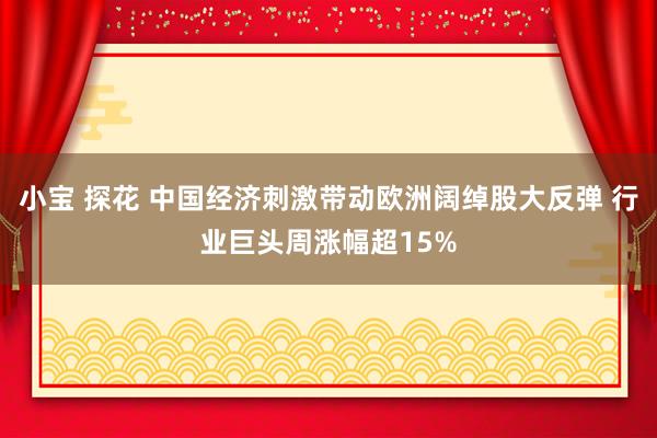 小宝 探花 中国经济刺激带动欧洲阔绰股大反弹 行业巨头周涨幅超15%