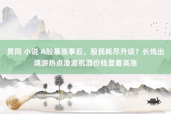 男同 小说 A股暴涨事后，股民耗尽升级？长线出境游热点澄澈机酒价钱显着高涨