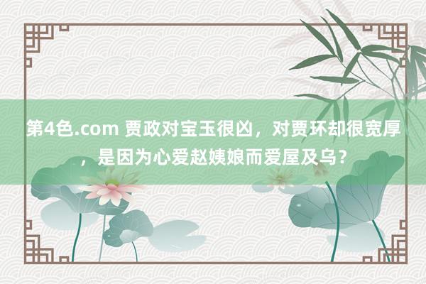 第4色.com 贾政对宝玉很凶，对贾环却很宽厚，是因为心爱赵姨娘而爱屋及乌？