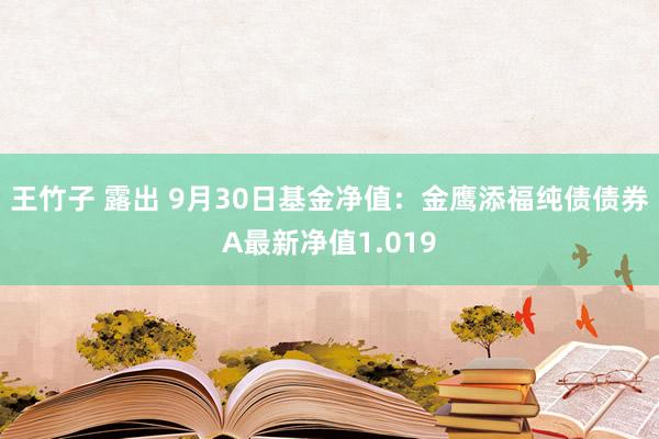 王竹子 露出 9月30日基金净值：金鹰添福纯债债券A最新净值1.019