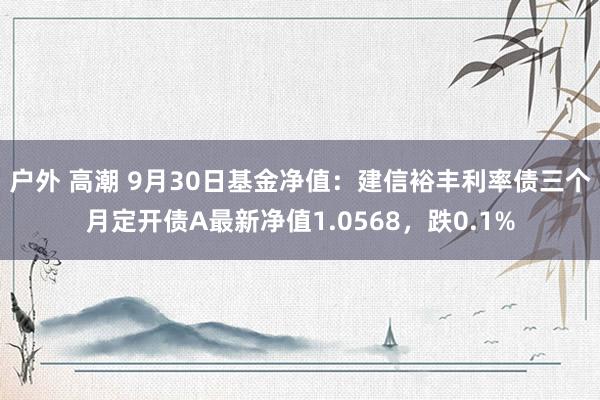 户外 高潮 9月30日基金净值：建信裕丰利率债三个月定开债A最新净值1.0568，跌0.1%