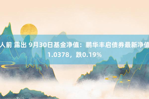 人前 露出 9月30日基金净值：鹏华丰启债券最新净值1.0378，跌0.19%