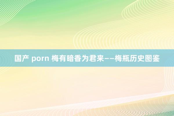 国产 porn 梅有暗香为君来——梅瓶历史图鉴