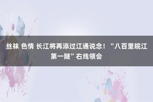 丝袜 色情 长江将再添过江通说念！“八百里皖江第一隧”右线领会