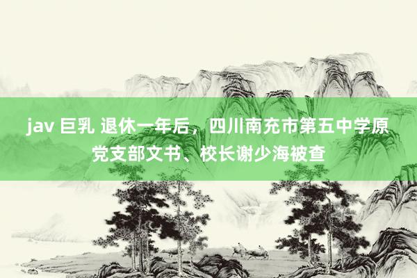 jav 巨乳 退休一年后，四川南充市第五中学原党支部文书、校长谢少海被查