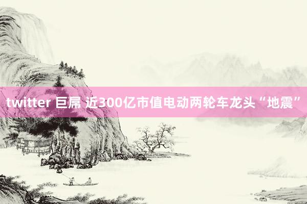 twitter 巨屌 近300亿市值电动两轮车龙头“地震”