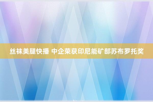 丝袜美腿快播 中企荣获印尼能矿部苏布罗托奖