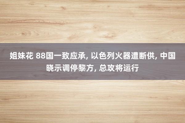 姐妹花 88国一致应承， 以色列火器遭断供， 中国晓示调停黎方， 总攻将运行