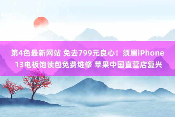 第4色最新网站 免去799元良心！须眉iPhone 13电板饱读包免费维修 苹果中国直营店复兴