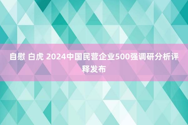 自慰 白虎 2024中国民营企业500强调研分析评释发布