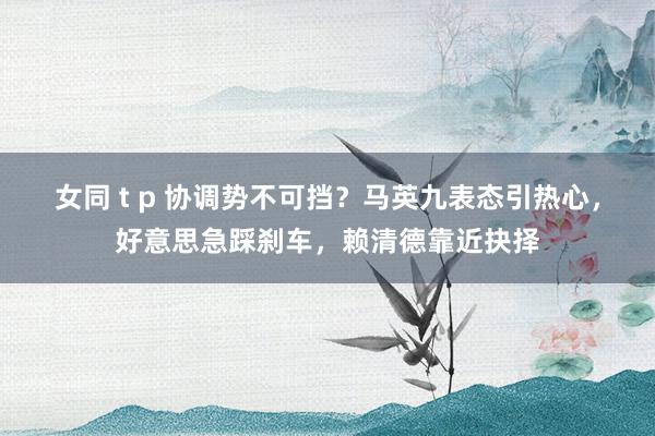 女同 t p 协调势不可挡？马英九表态引热心，好意思急踩刹车，赖清德靠近抉择