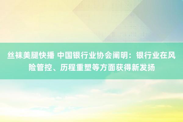 丝袜美腿快播 中国银行业协会阐明：银行业在风险管控、历程重塑等方面获得新发扬