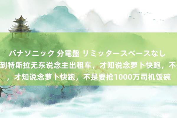 パナソニック 分電盤 リミッタースペースなし 露出・半埋込両用形 看到特斯拉无东说念主出租车，才知说念萝卜快跑，不是要抢1000万司机饭碗