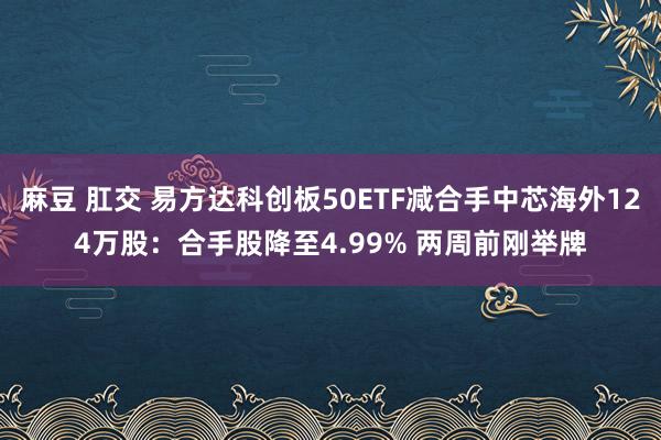 麻豆 肛交 易方达科创板50ETF减合手中芯海外124万股：合手股降至4.99% 两周前刚举牌