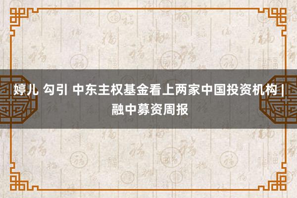 婷儿 勾引 中东主权基金看上两家中国投资机构 | 融中募资周报