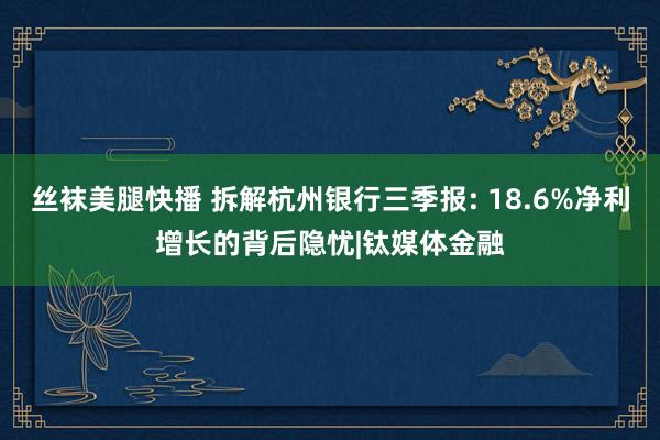 丝袜美腿快播 拆解杭州银行三季报: 18.6%净利增长的背后隐忧|钛媒体金融