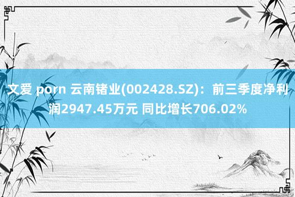 文爱 porn 云南锗业(002428.SZ)：前三季度净利润2947.45万元 同比增长706.02%