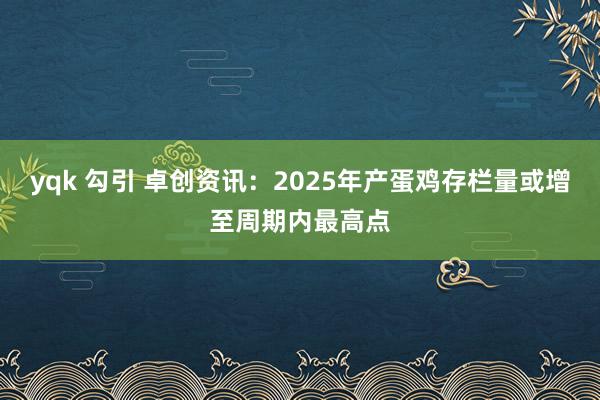 yqk 勾引 卓创资讯：2025年产蛋鸡存栏量或增至周期内最高点