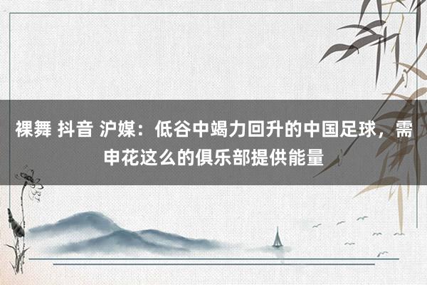 裸舞 抖音 沪媒：低谷中竭力回升的中国足球，需申花这么的俱乐部提供能量