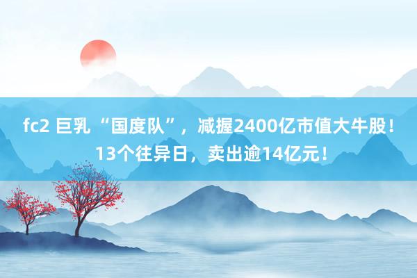 fc2 巨乳 “国度队”，减握2400亿市值大牛股！ 13个往异日，卖出逾14亿元！