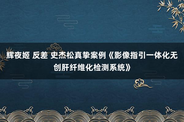 辉夜姬 反差 史杰松真挚案例《影像指引一体化无创肝纤维化检测系统》