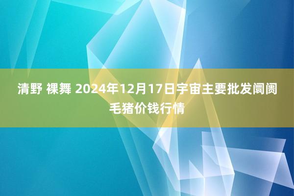 清野 裸舞 2024年12月17日宇宙主要批发阛阓毛猪价钱行情