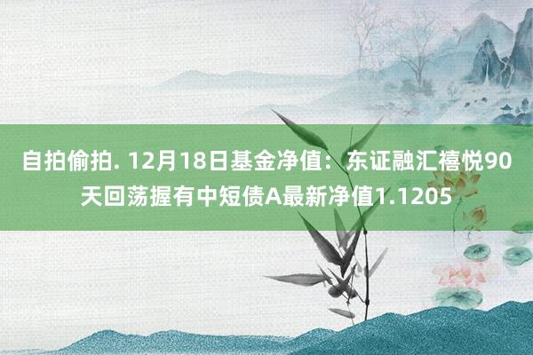 自拍偷拍. 12月18日基金净值：东证融汇禧悦90天回荡握有中短债A最新净值1.1205