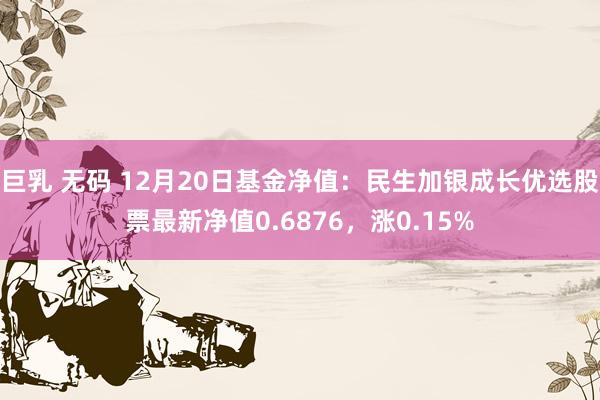 巨乳 无码 12月20日基金净值：民生加银成长优选股票最新净值0.6876，涨0.15%