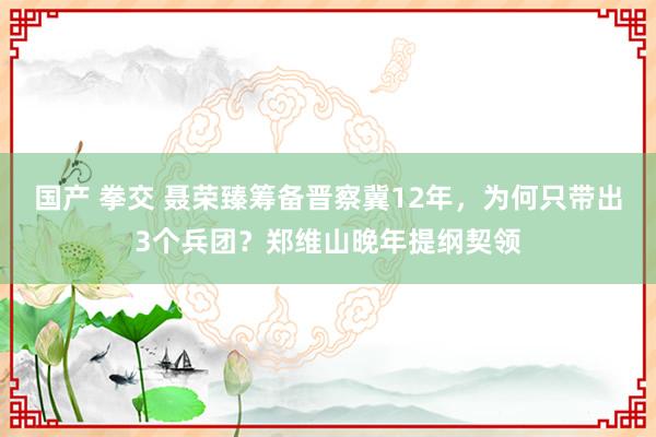 国产 拳交 聂荣臻筹备晋察冀12年，为何只带出3个兵团？郑维山晚年提纲契领