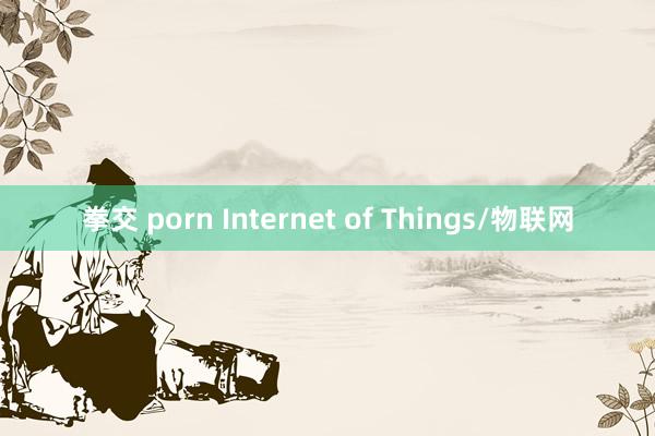 拳交 porn Internet of Things/物联网