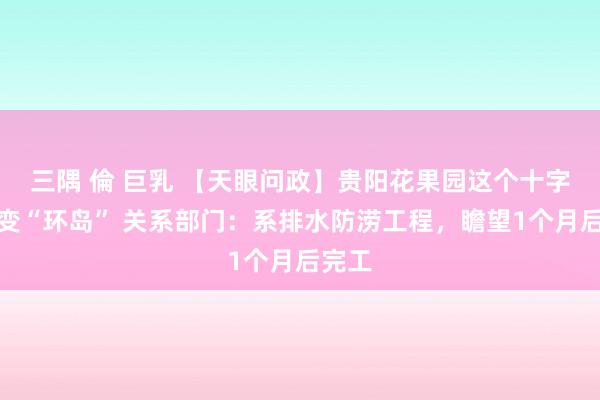 三隅 倫 巨乳 【天眼问政】贵阳花果园这个十字街头变“环岛” 关系部门：系排水防涝工程，瞻望1个月后完工