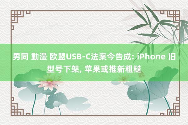 男同 動漫 欧盟USB-C法案今告成: iPhone 旧型号下架， 苹果或推新粗糙