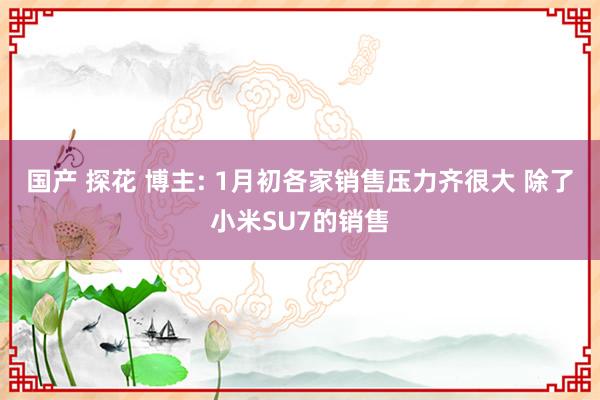 国产 探花 博主: 1月初各家销售压力齐很大 除了小米SU7的销售